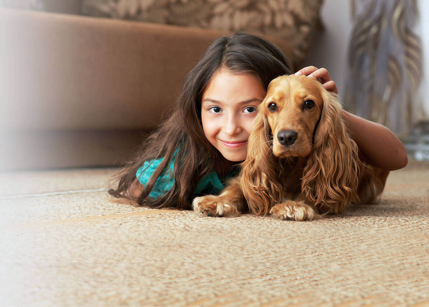 carpet cleaning Lavallette, NJ