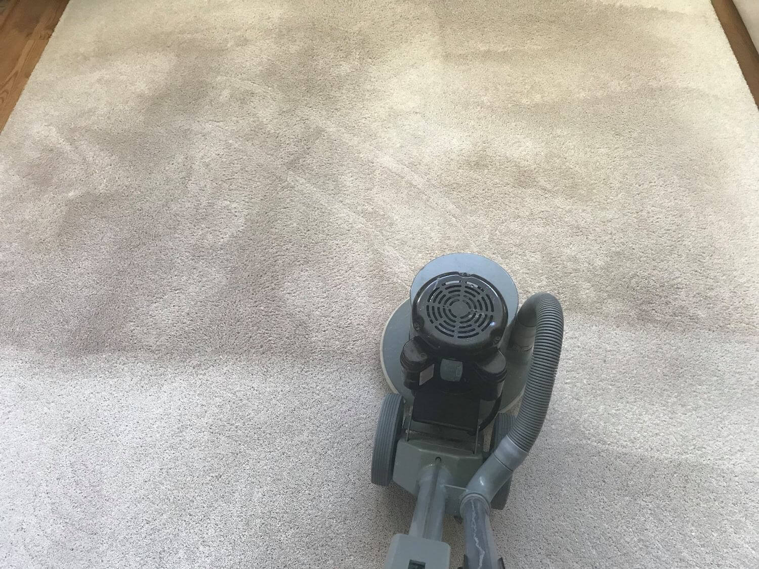 carpet cleaning Red Bank, NJ