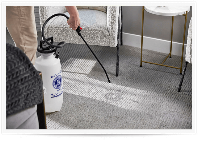 pet urine stain removal Belmar, NJ