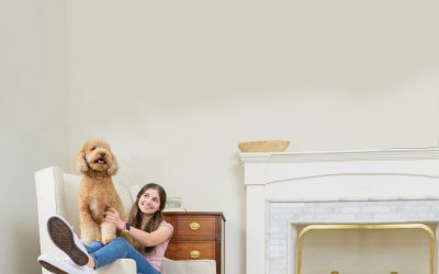 Wilce’s Chem-Dry’s Secret to Cleaner Carpets