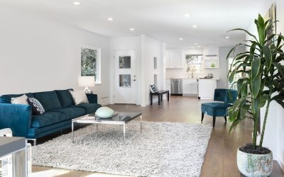 Tips for Maintaining Area Rugs