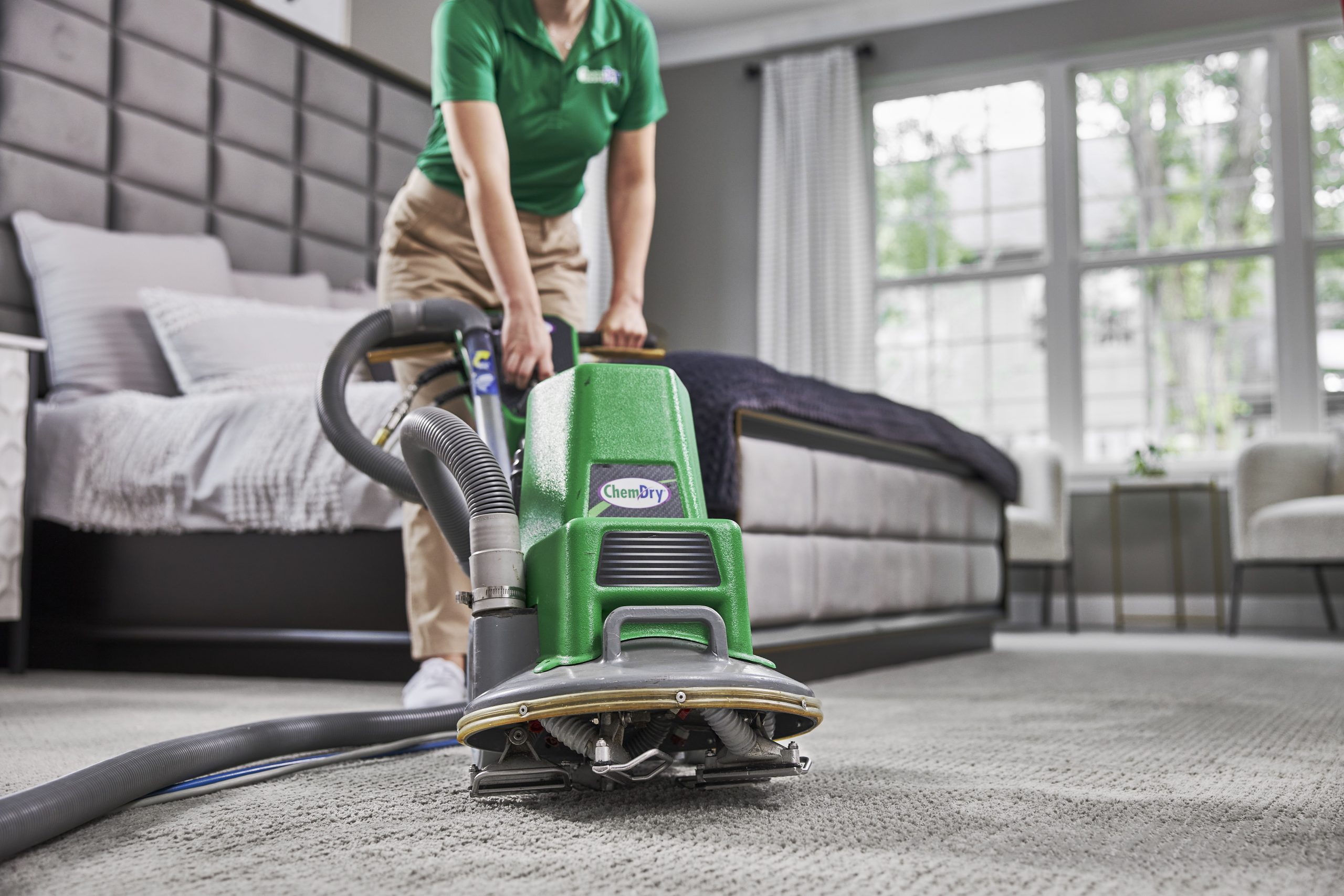 wilces chem-dry carpet cleaning Beachwood, NJ