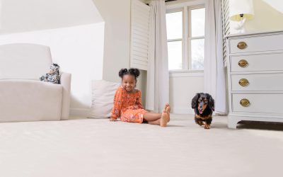Searching “Carpet Cleaning Near Me”