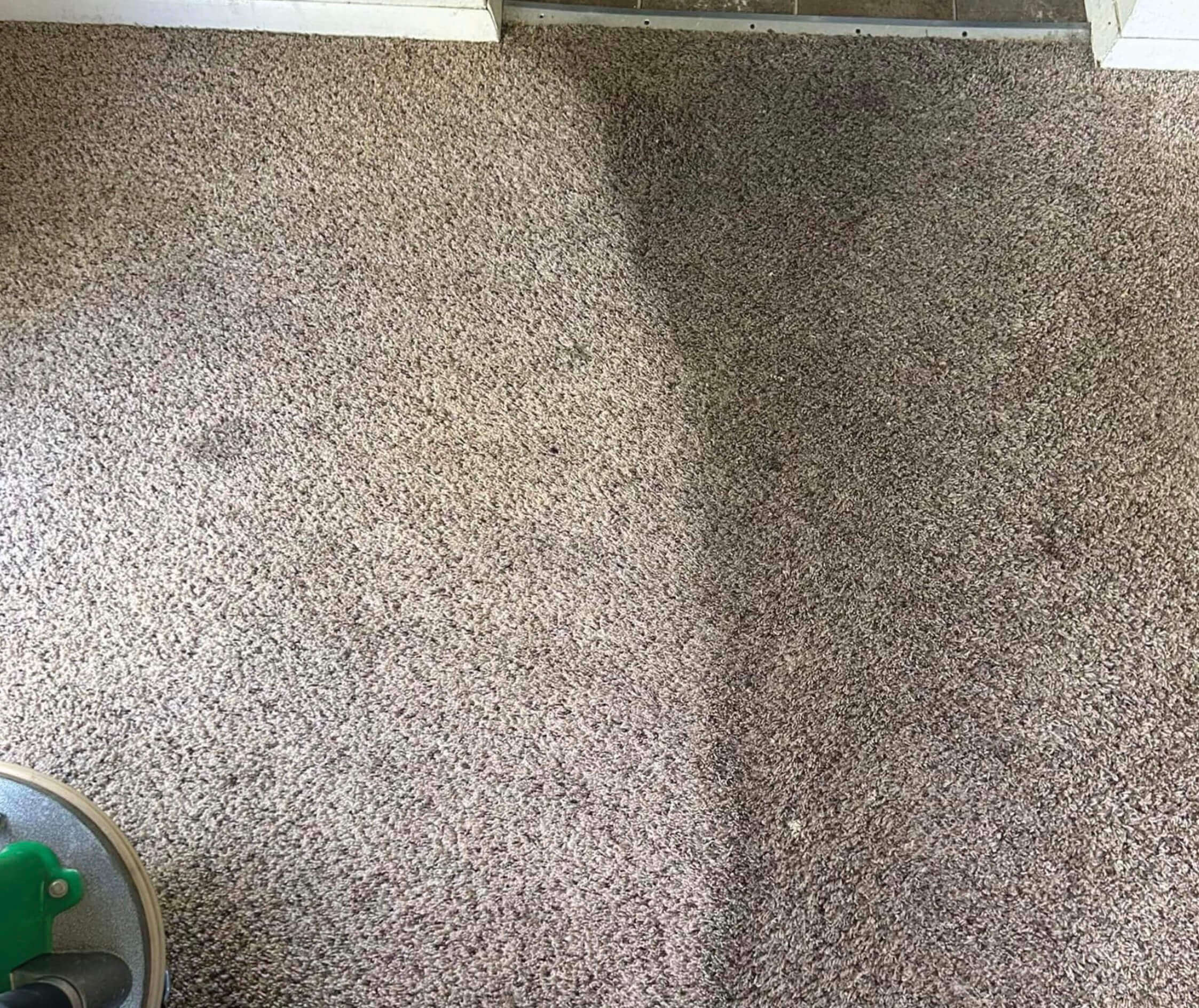 carpet cleaning Berkeley Township, NJ
