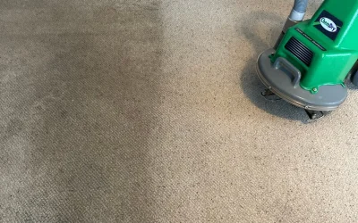Wilce’s Chem-Dry vs. Steam Carpet Cleaning in Toms River