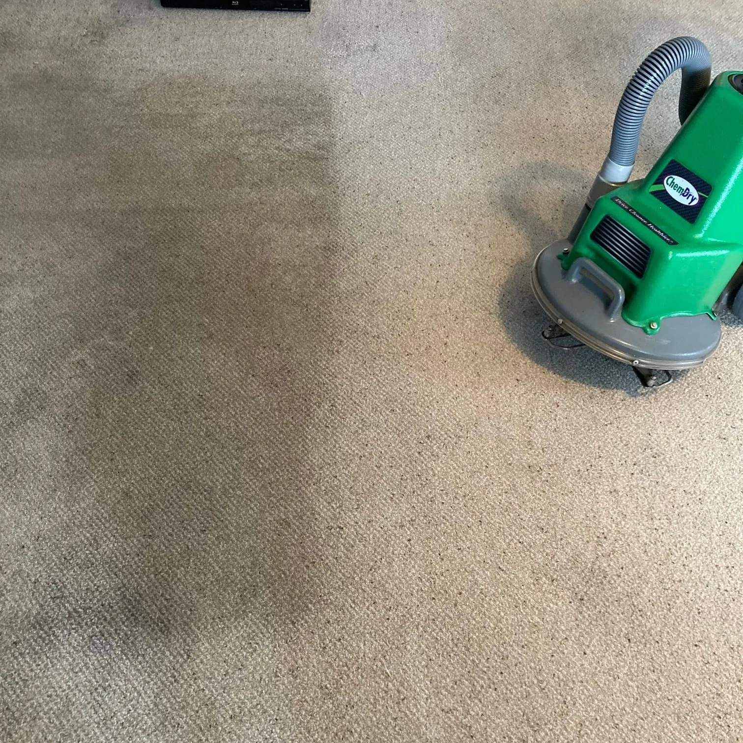 Wilce's Chem-Dry carpet cleaning up close in Belmar, NJ